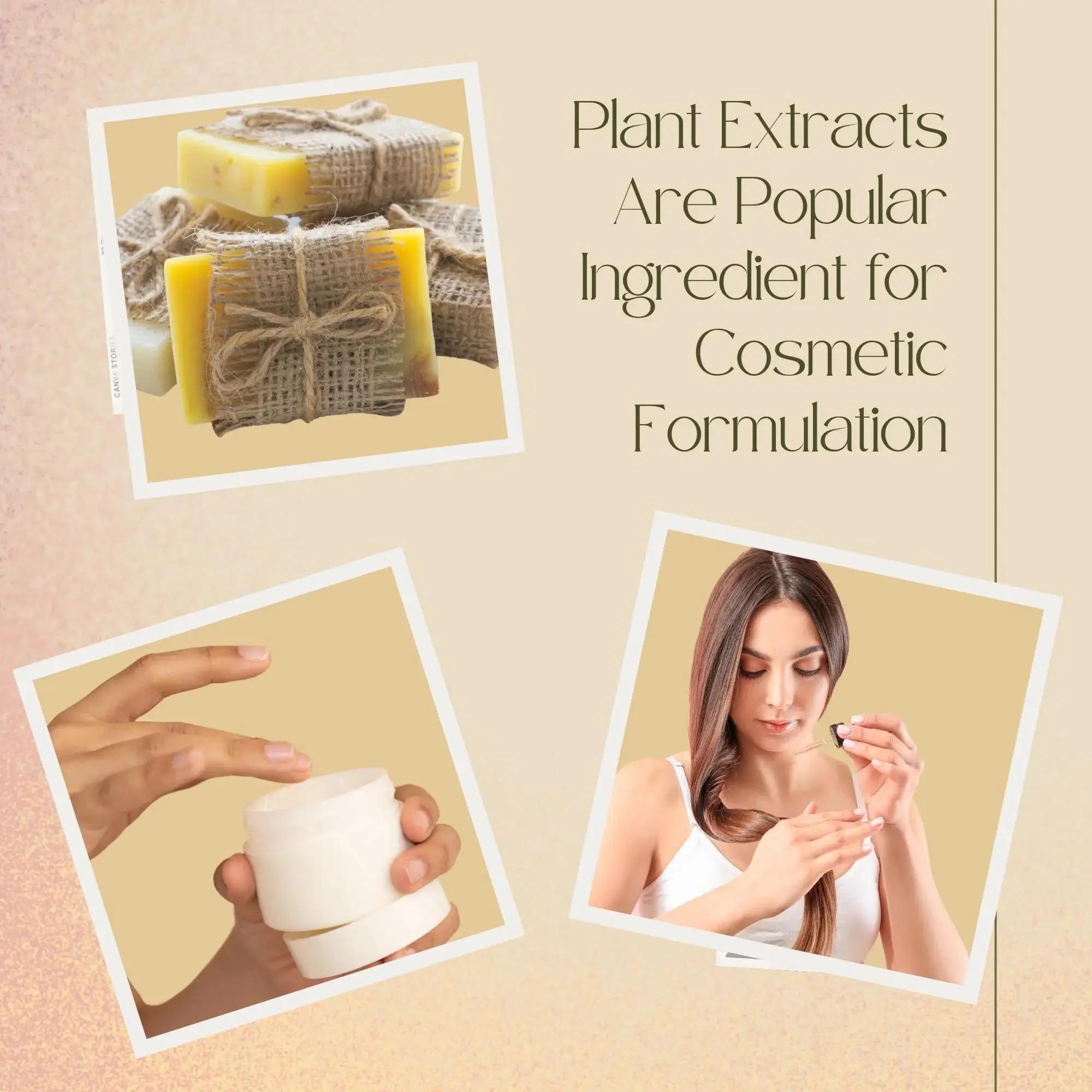 High Quality Soapberry Extract - Hair Care For Hair Loss review and price