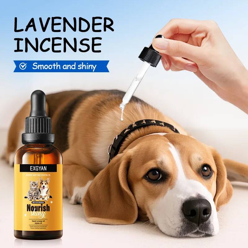 2/3/4 Pack Pet Dogs, Cats, Nou - Hair Care Fragrance Essential Oil review and price